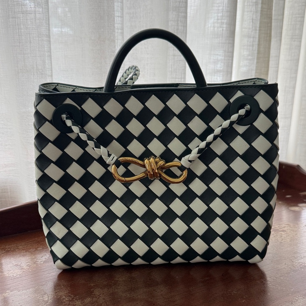 BOTTEGA VENETA SMALL ANDIAMO